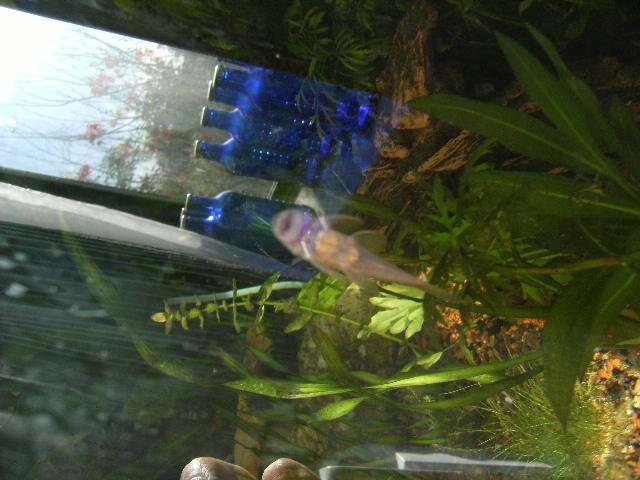 DSCF0377.JPG