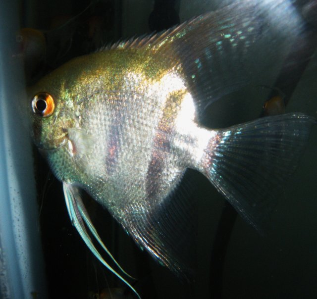 DSCN3082.JPG