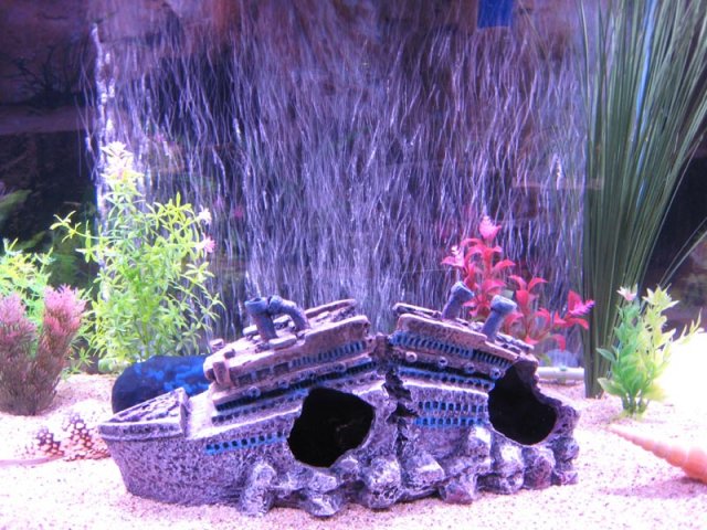 bubbles_051709.jpg