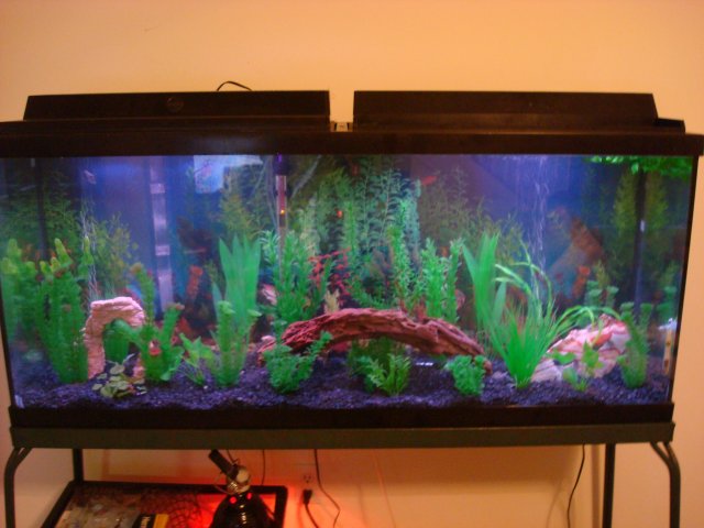 DSC08089.JPG