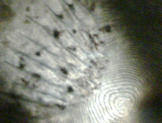 IMG00073-20090325-0015.jpg