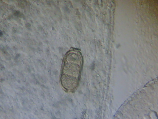 IMG00080-20090325-0031.jpg