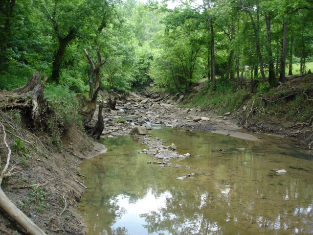 camp may 09 116.JPG