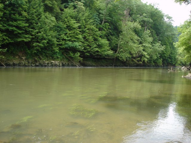 camp may 09 121.JPG