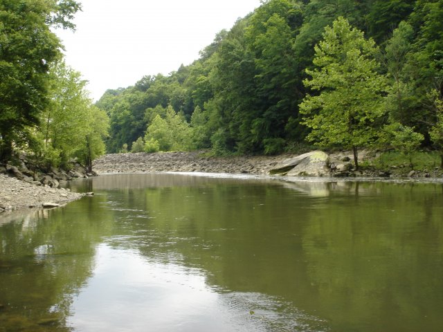 camp may 09 122.JPG