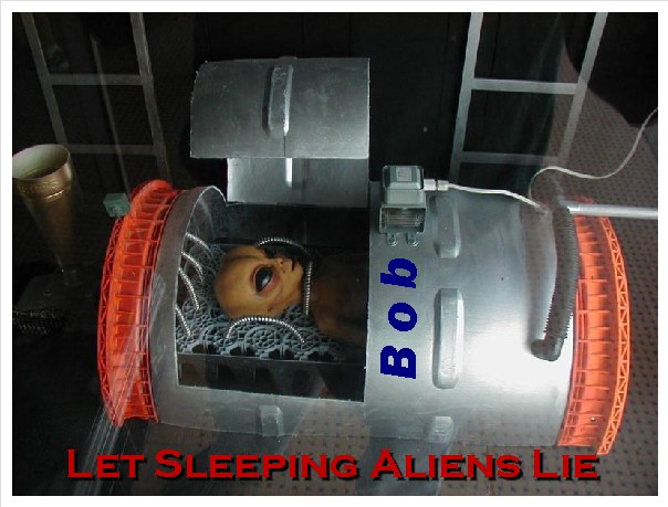 bob sleeping.jpg bob sleeping.jpg