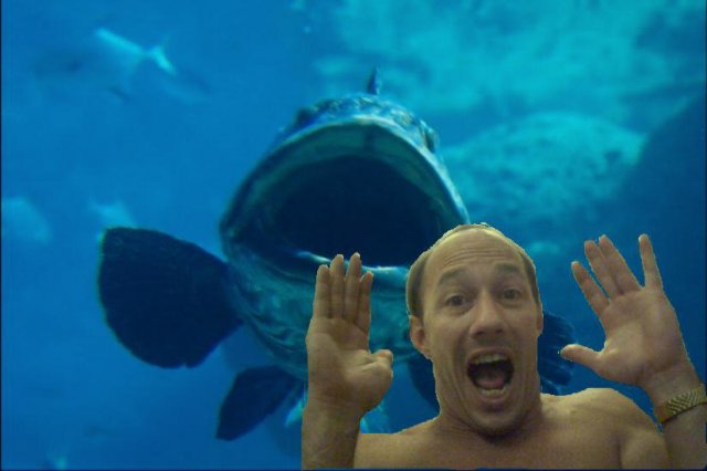 Steele%20Scared%20Fish.jpg