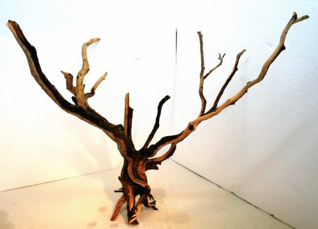 XLG STUMP PKG 16 OVERALL0001.JPG