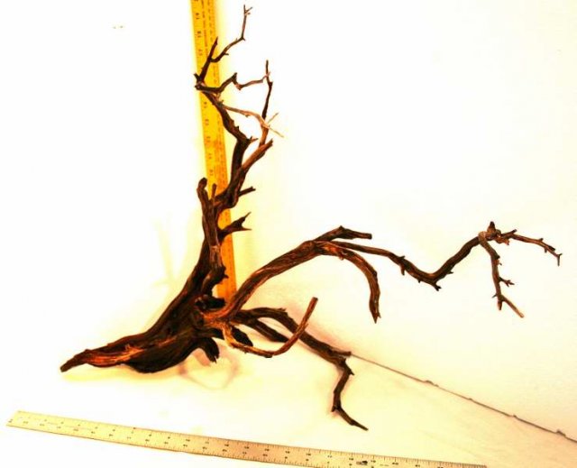 MED STUMP PKG 26 OVERALL 0001.JPG