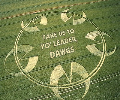 bob lawn mowed.jpg