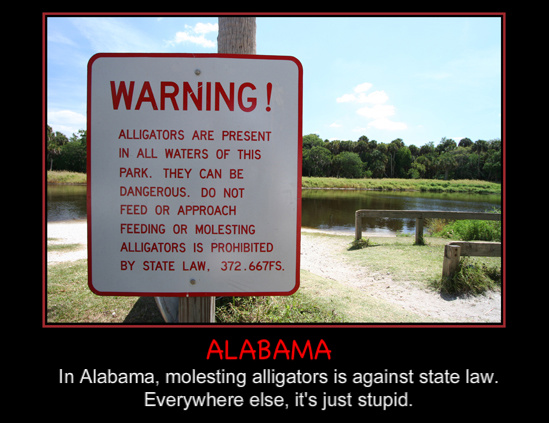 alligators-1.jpg alligators-1.jpg