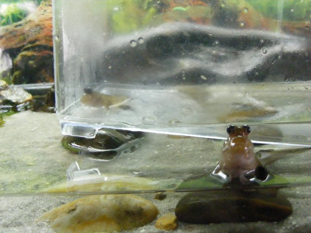 06-01-2009 007.jpg 06-01-2009 007.jpg