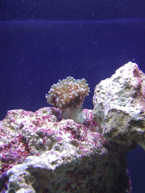 IMAG0006.jpg