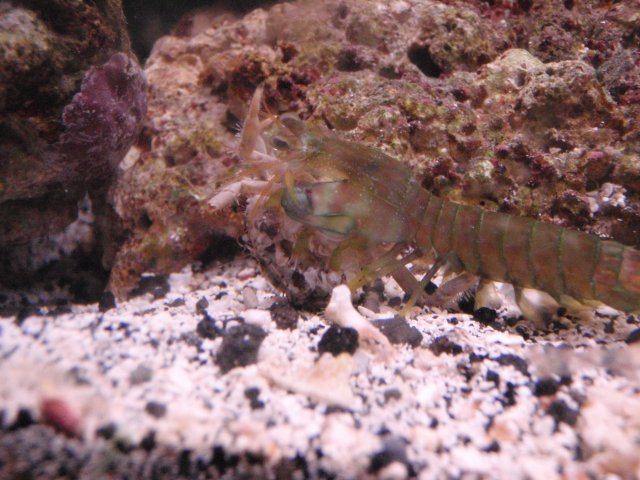 P6080271 (2).JPG