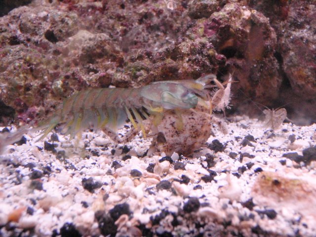 P6080269 (2).JPG