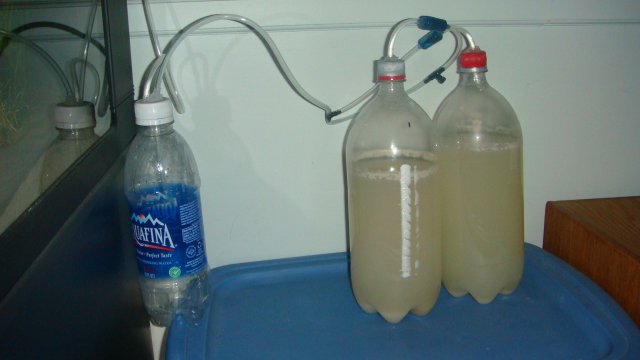 DSC05224.JPG DSC05224.JPG