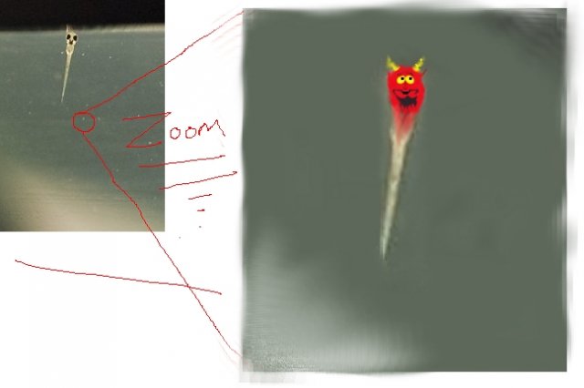 satanfish.jpg