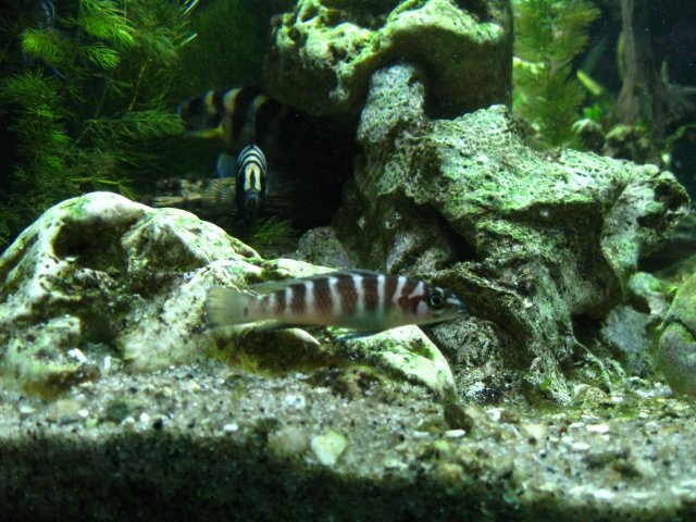 IMG_0886.JPG