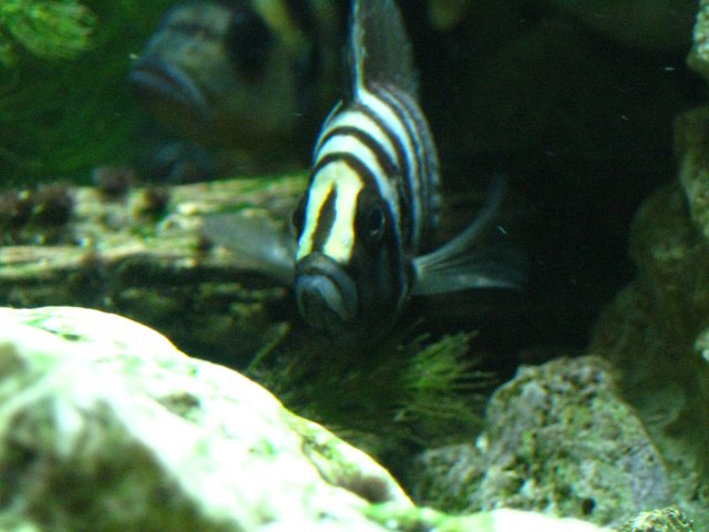 IMG_0887.JPG