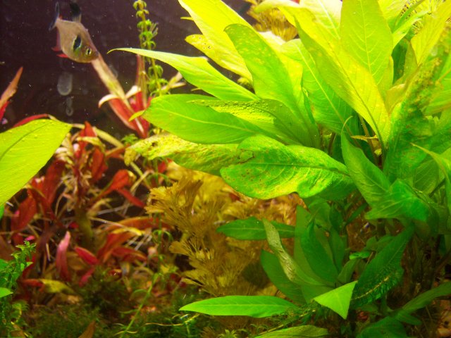 100_0945.jpg