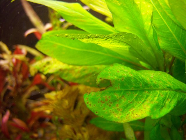 100_0949.jpg