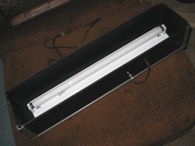 Picture 018.jpg