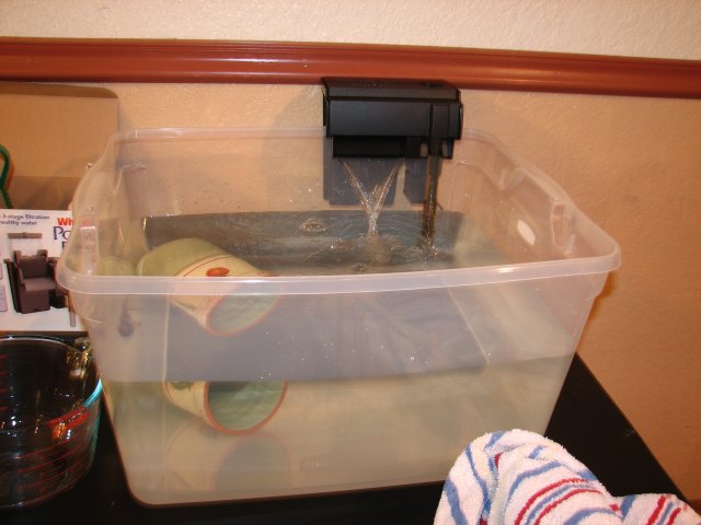 IMG_4730.JPG