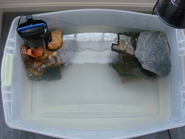 DSC08662.JPG DSC08662.JPG