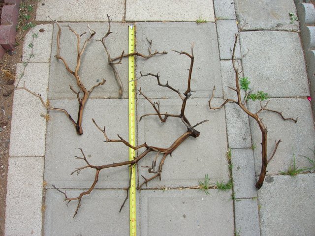 DSCN4236.JPG