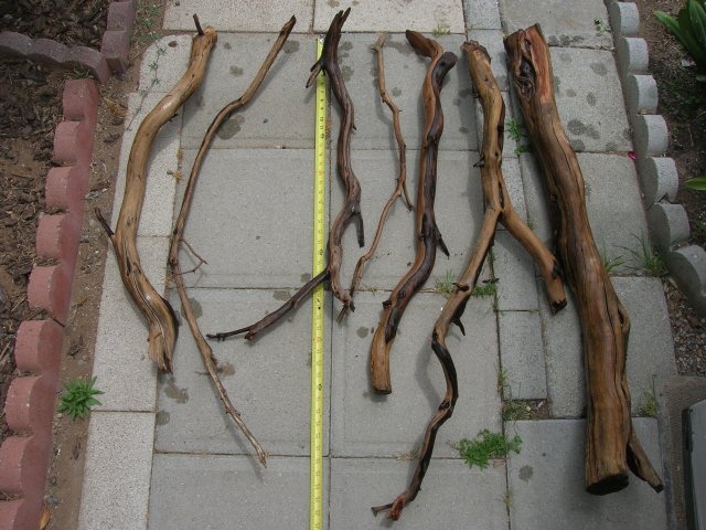 DSCN4237.JPG