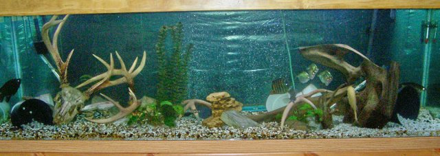 000_3029.jpg 000_3029.jpg