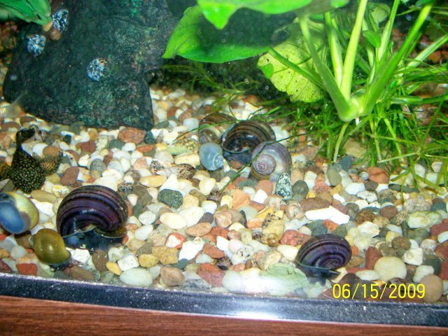 000_3045.jpg 000_3045.jpg