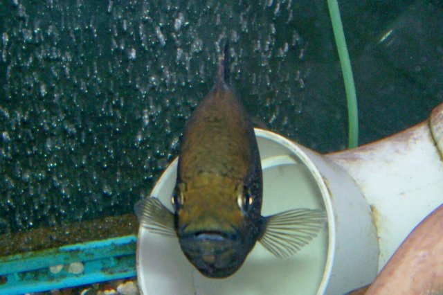 000_3049.jpg 000_3049.jpg