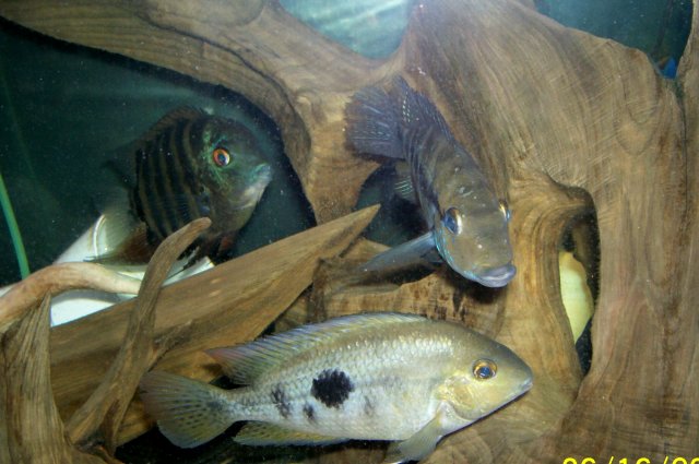 000_3050.jpg 000_3050.jpg