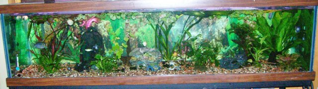 000_3051.jpg 000_3051.jpg