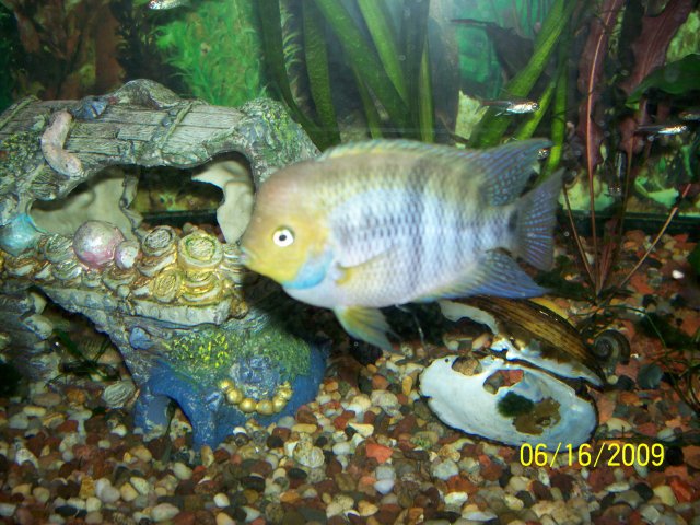 000_3054.jpg 000_3054.jpg