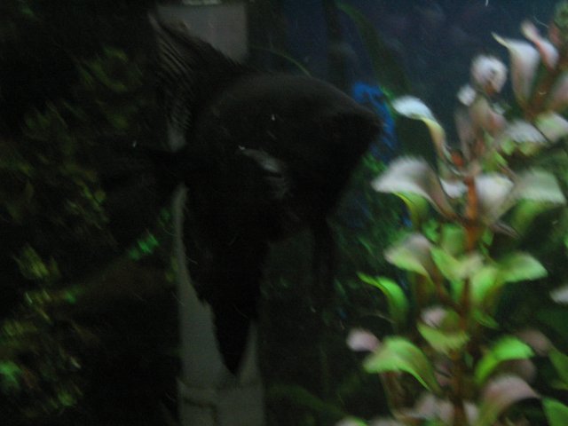 IMG_0515.JPG