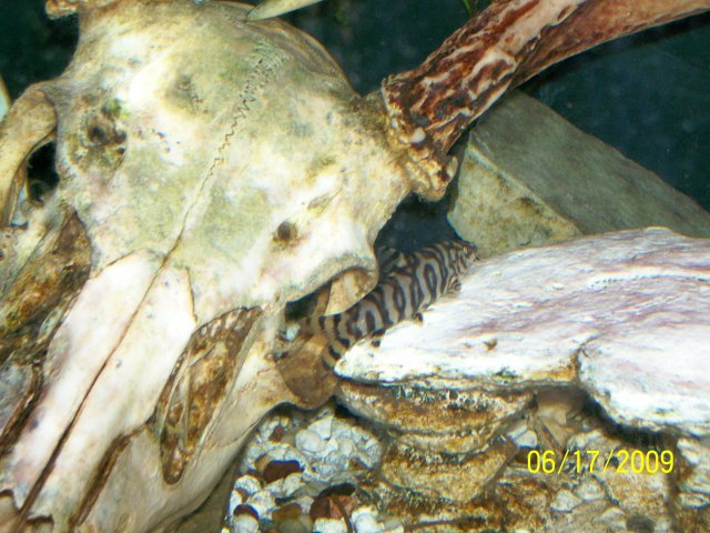 000_3068.jpg