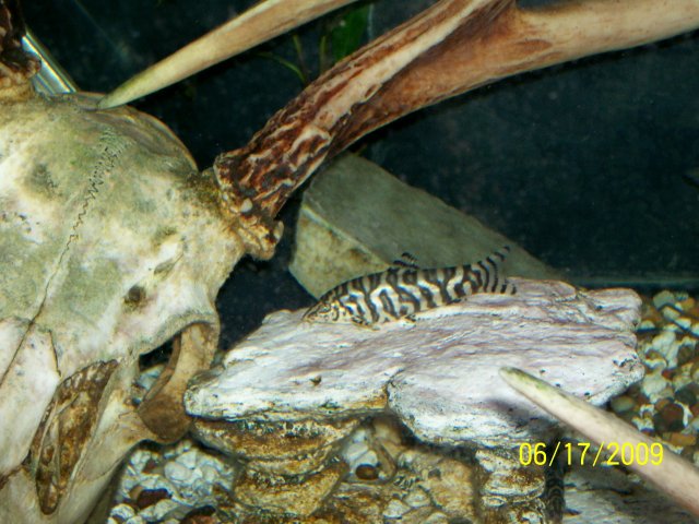 000_3070.jpg