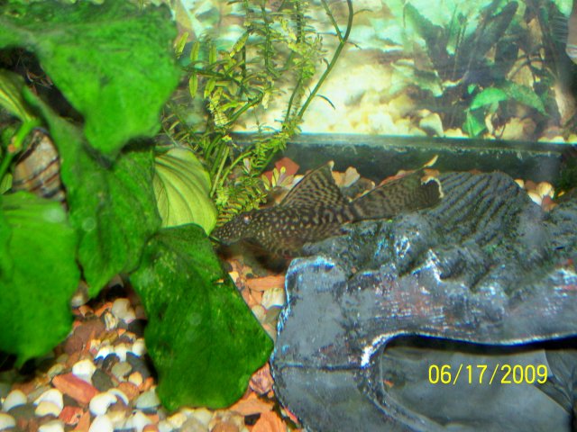 000_3073.jpg