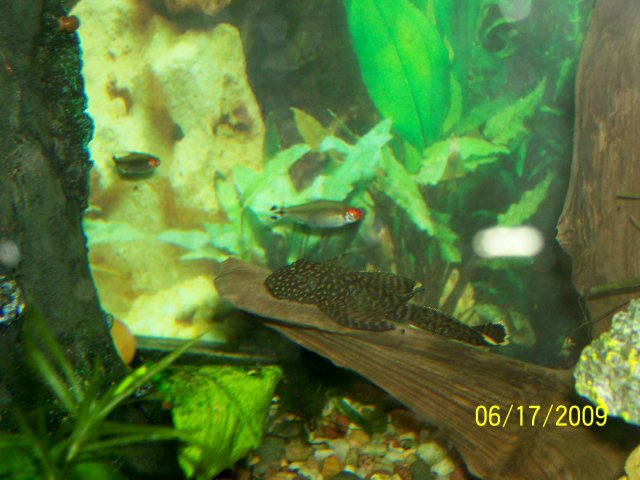 000_3075.jpg