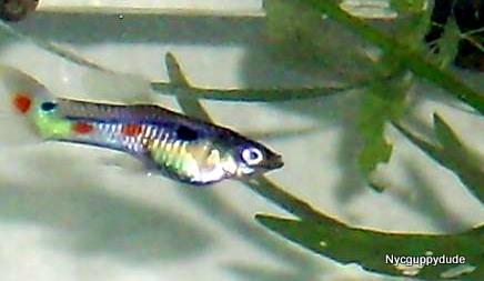 DSCI0397.JPG DSCI0397.JPG