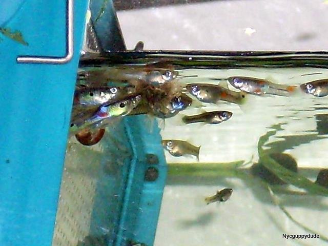 DSCI0428.JPG DSCI0428.JPG