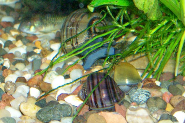 000_3078.jpg