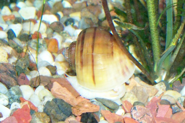 000_3082.jpg