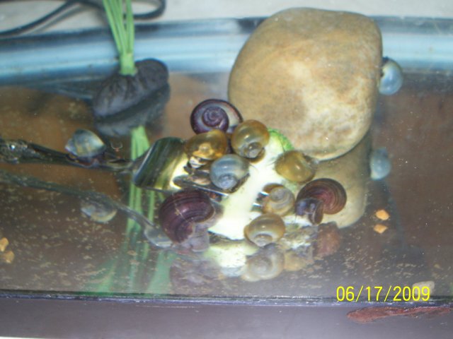 000_3087.jpg