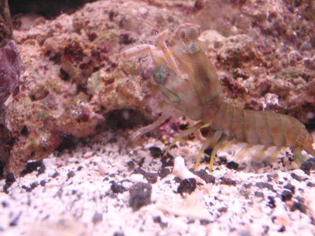 P6080272 (2).JPG