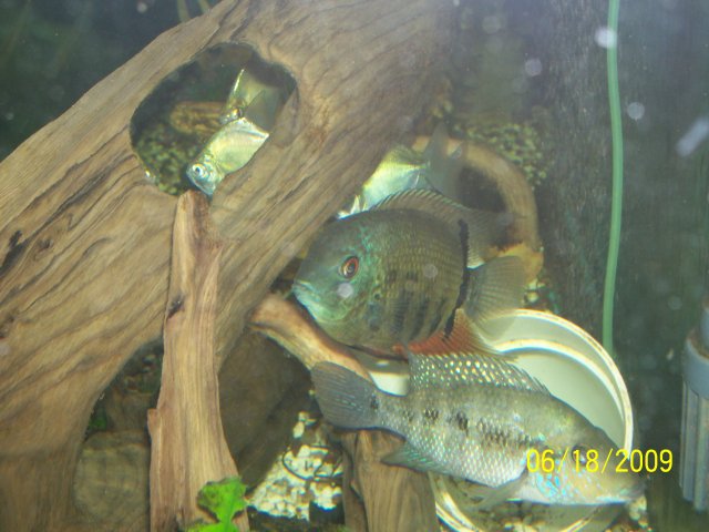 000_3088.jpg
