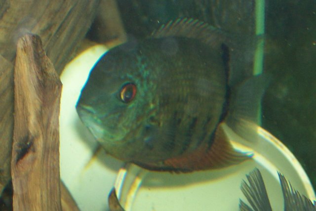 000_3089.jpg