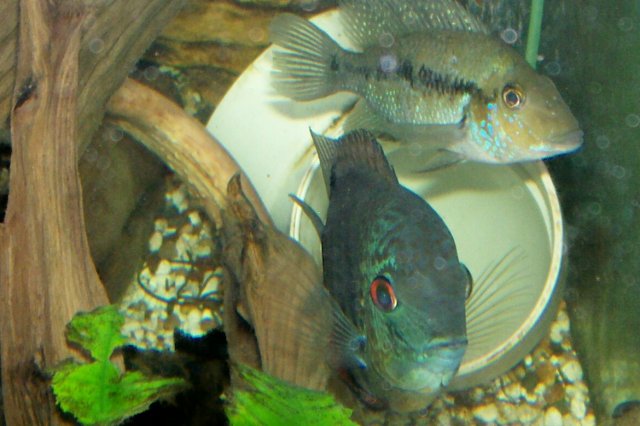 000_3090.jpg